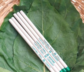 Plantable Eco-friendly Pencils (Pack of 5)